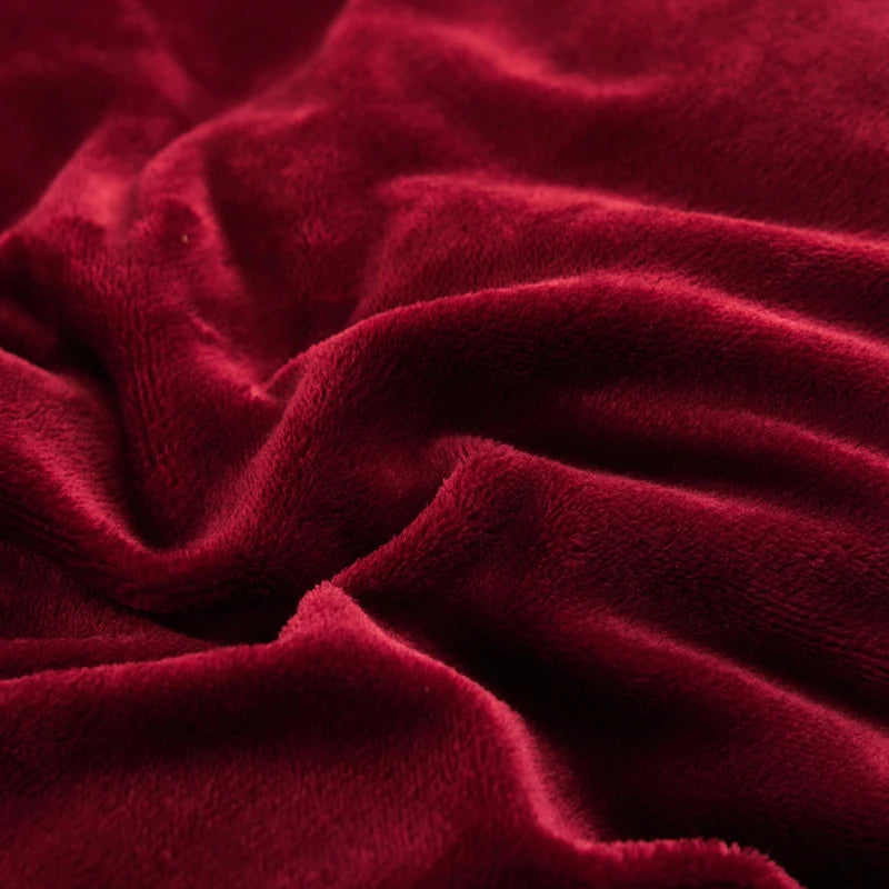 Winter Milk Velvet Quilt Duvet Cover Bedding Set Warm Thicken Bed Quilt Cover Double Bed Cover Queen King Comforter Cover 220x24